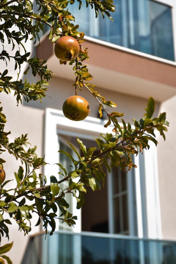 Airport Garden Hotel 3*